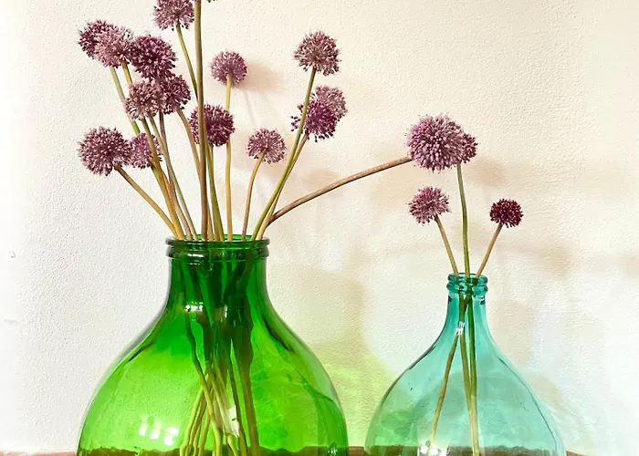 Bed and Breakfast Bio&b Acquaviva Οτράντο