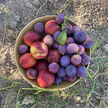 Bio&b Acquaviva ベッド・アンド・ブレックファスト