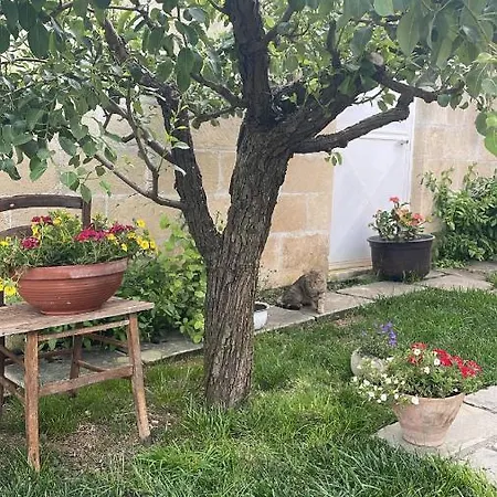 Bio&b Acquaviva オートラント