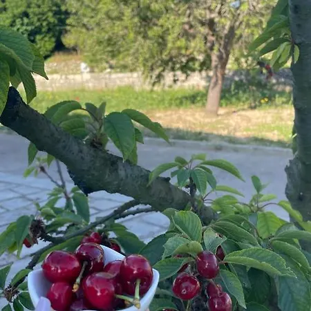 ベッド・アンド・ブレックファスト Bio&b Acquaviva オートラント