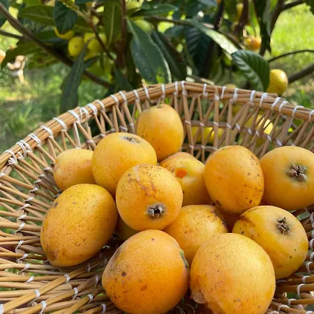 Bio&b Acquaviva 4* オートラント