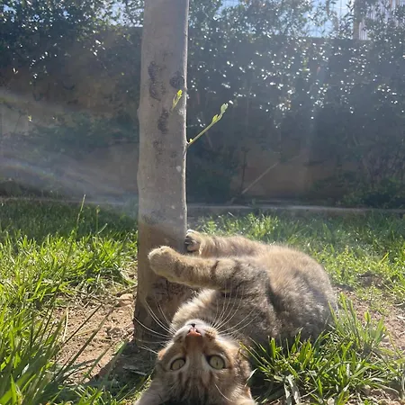 Bio&b Acquaviva Bed & Breakfast Otranto