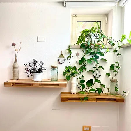 Bio&b Acquaviva Отель типа 