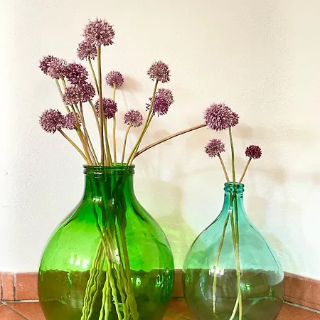 Bed and Breakfast Bio&b Acquaviva Οτράντο