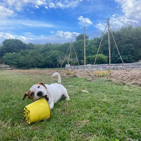 Bio&b Acquaviva ベッド・アンド・ブレックファスト