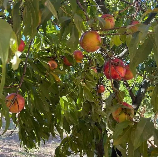 Bio&b Acquaviva Nocleg ze śniadaniem 4*