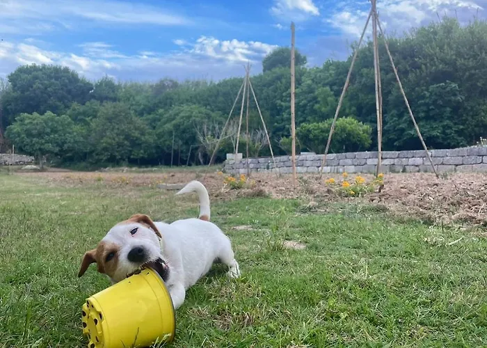 Bio&b Acquaviva Nocleg ze śniadaniem